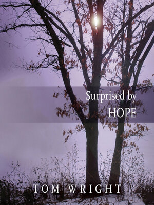 cover image of Surprised by Hope